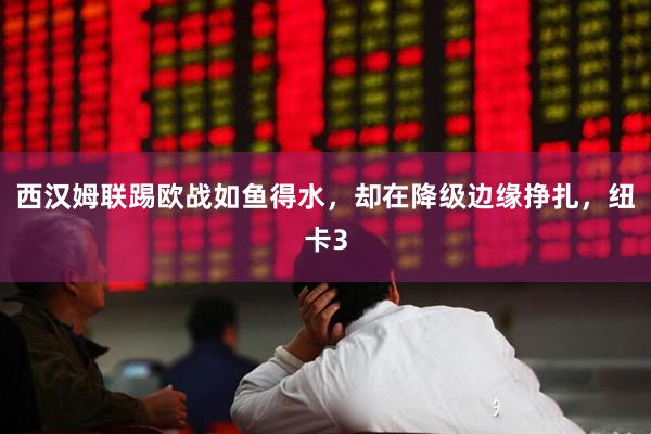 西汉姆联踢欧战如鱼得水，却在降级边缘挣扎，纽卡3