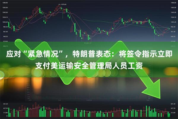 应对“紧急情况”,特朗普表态:将签令指示立即支付美运输安全管理局人员工资