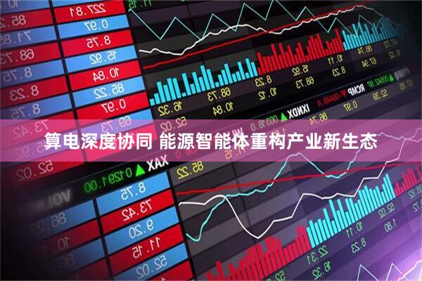 算电深度协同 能源智能体重构产业新生态